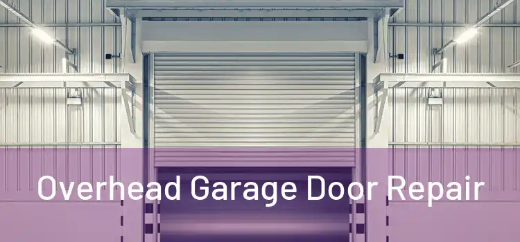  Overhead Garage Door Repair 